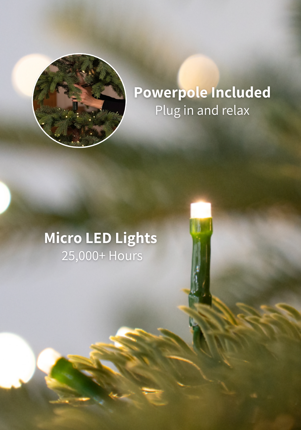 12' Royal Fir Artificial Christmas Tree with 2000 Warm White & Multi-Color LED Lights