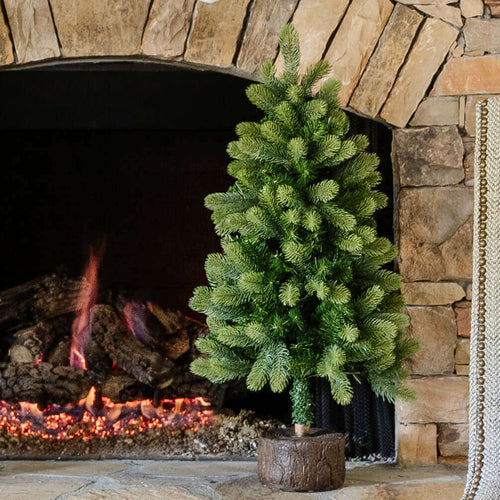 3' Royal Fir Tabletop Tree with 100 Warm White LED Lights
