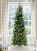 9' King Douglas Fir Slim Artificial Christmas Tree with 1000 Warm White & Multi-Color LED Lights