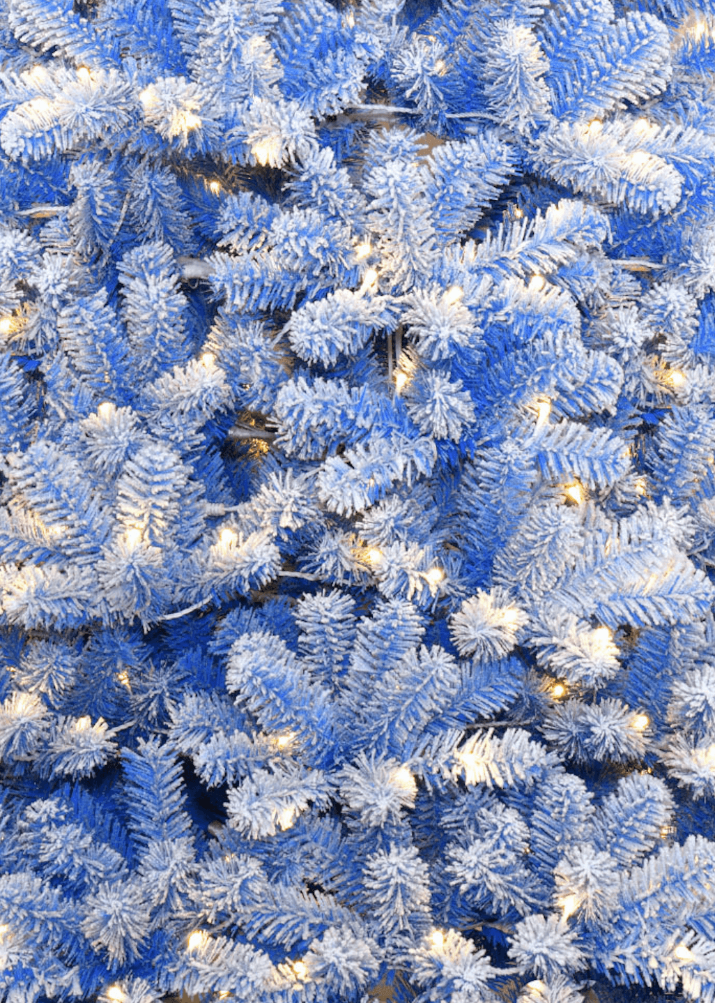6.5' Duchess Blue Flock Artificial Christmas Tree with 500 Warm White LED Lights